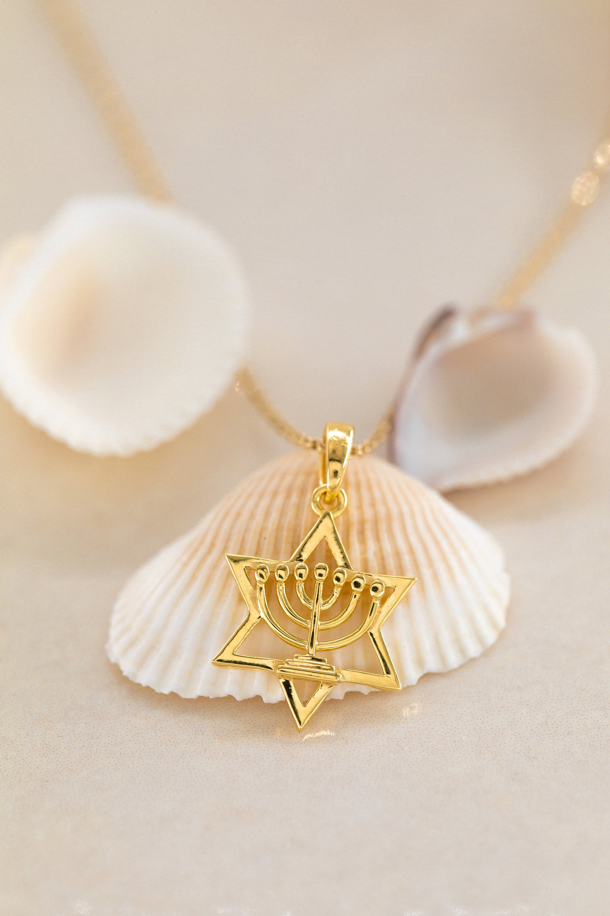 14K Star of David Necklace, Judaism's Iconic Symbol, David Necklace Geometry Necklace, Gold Judaica Jewelry, Silver Star Of David Necklace